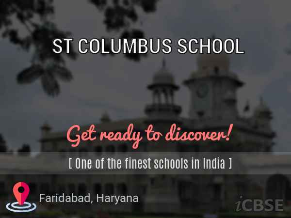 st columbus school faridabad holiday homework download