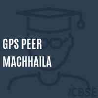 Gps Peer Machhaila Primary School Logo