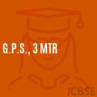 G.P.S., 3 Mtr Primary School Logo