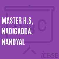 Master H.S, Nadigadda, Nandyal Secondary School Logo