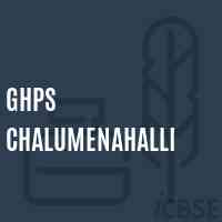 Ghps Chalumenahalli Middle School Logo