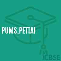 Pums,Pettai Middle School Logo
