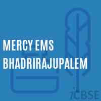 Mercy Ems Bhadrirajupalem Middle School Logo