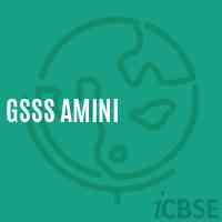 Gsss Amini High School Logo