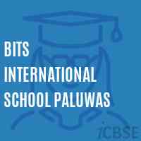 Bits International School Paluwas Logo