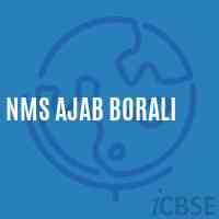 Nms Ajab Borali Middle School Logo