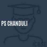 Ps Chanduli Primary School Logo