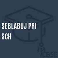 Seblabuj Pri Sch Middle School Logo