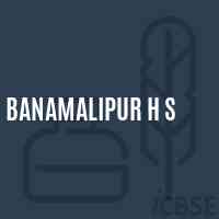 Banamalipur H S Secondary School Logo