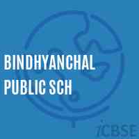 Bindhyanchal Public Sch Primary School Logo