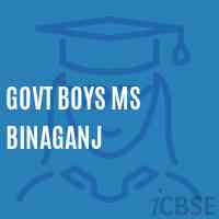 Govt Boys Ms Binaganj Middle School Logo