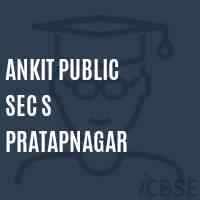 Ankit Public Sec S Pratapnagar Senior Secondary School Logo