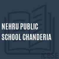 Nehru Public School Chanderia Logo