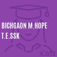 Bichgaon M.Hope T.E.Ssk Primary School Logo