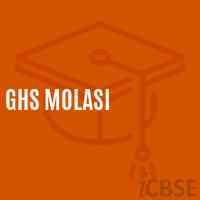 Ghs Molasi Secondary School Logo