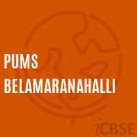 Pums Belamaranahalli Middle School Logo
