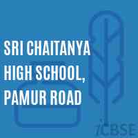 Sri Chaitanya High school, Pamur Road Logo