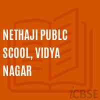 Nethaji Publc Scool, Vidya Nagar Secondary School Logo