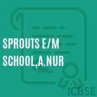 Sprouts E/m School,A.Nur Logo