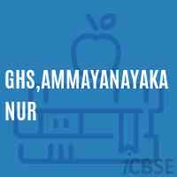 Ghs,Ammayanayakanur Secondary School Logo