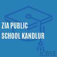 Zia Public School Kandlur Logo