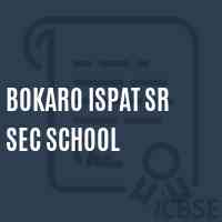 Bokaro Ispat Sr Sec School Logo