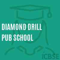 Diamond Drill Pub School Logo