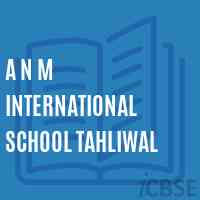 A N M International School Tahliwal Logo