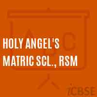 Holy Angel'S Matric Scl., Rsm Secondary School Logo