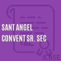 Sant Angel Convent Sr. Sec Senior Secondary School Logo