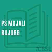 Ps Mojali Bujurg Primary School Logo