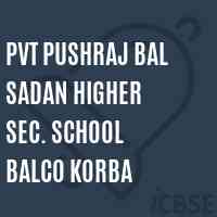 Pvt Pushraj Bal Sadan Higher Sec. School Balco Korba Logo