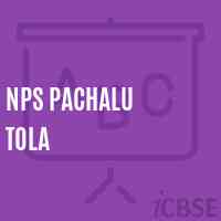Nps Pachalu Tola Primary School Logo