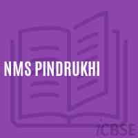 Nms Pindrukhi Middle School Logo