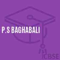P.S Baghabali Primary School Logo
