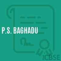P.S. Baghadu Primary School Logo
