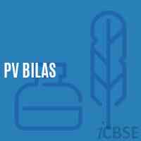 Pv Bilas Primary School Logo