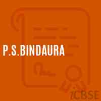 P.S.Bindaura Primary School Logo