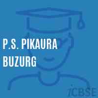 P.S. Pikaura Buzurg Primary School Logo