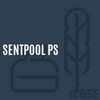 Sentpool Ps Middle School Logo