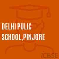 Delhi Pulic School,Pinjore Logo