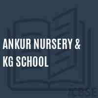Ankur Nursery & Kg School Logo