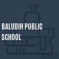 Baludih Public School Logo