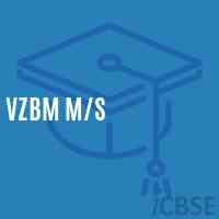 Vzbm M/s School Logo