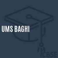 Ums Baghi Middle School Logo