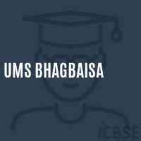 Ums Bhagbaisa Middle School Logo