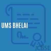 Ums Bhelai Middle School Logo