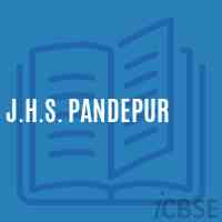 J.H.S. Pandepur Middle School Logo