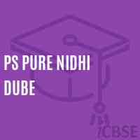 Ps Pure Nidhi Dube Primary School Logo