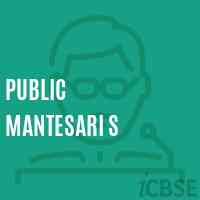 Public Mantesari S Primary School Logo
